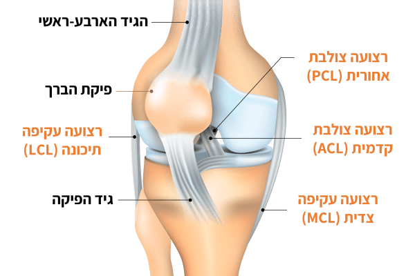 קרע ברצועת הברך